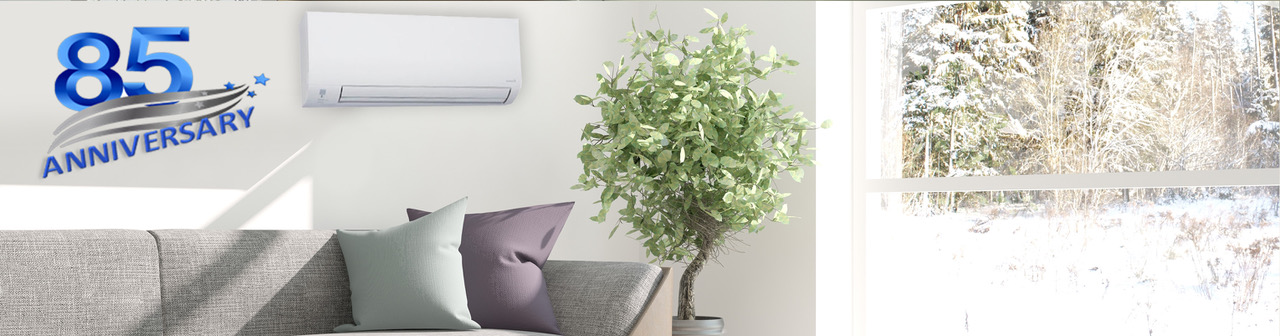 Ductless heating and cooling options offer homes and businesses and affordable and energy-efficient solution for your hvac needs.